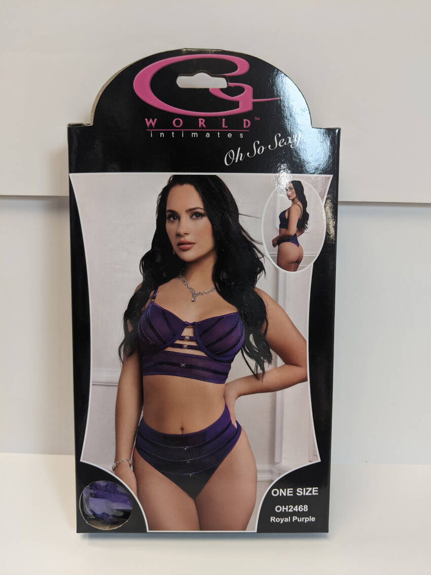 G WORLD 2PC SATIN BRA AND HIGH WAISTED PANTY ROYAL PURPLE